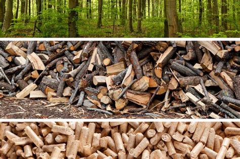 Wood Pellets Renewable But Not Carbon Neutral