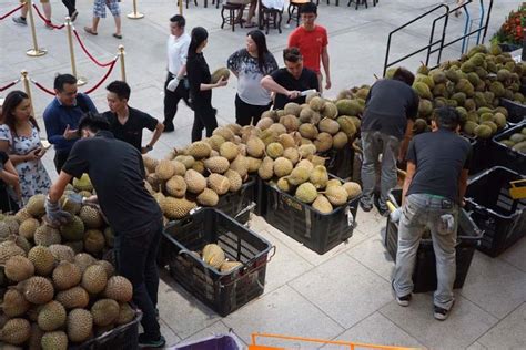 Rws Durian Festival All You Can Eat Durian Buffet Featuring