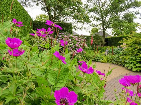 The Gardens Of Appeltern The Perfect Summer Day Trip In The