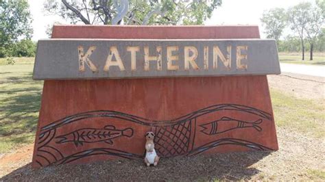 The Katherine Hot Springs