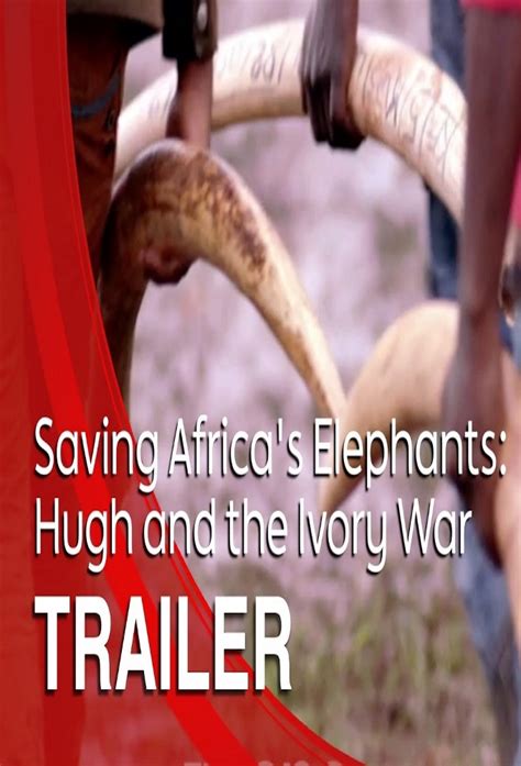 Saving Africa S Elephants Hugh And The Ivory War TheTVDB