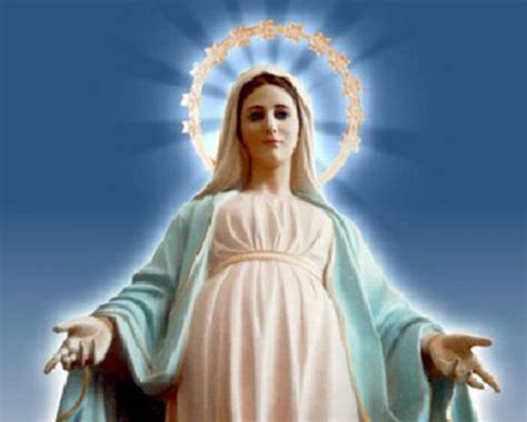 08 De Diciembre Día De La Inmaculada Concepción De La Virgen María