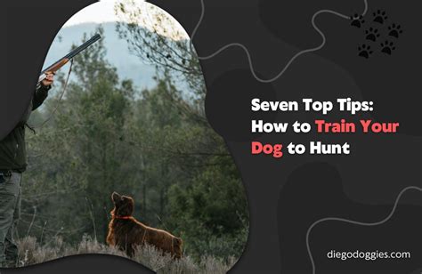 Seven Top Tips How To Train Your Dog To Hunt