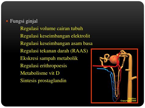 PPT Gangguan Sistem Urologi Fokus Gagal Ginjal PowerPoint