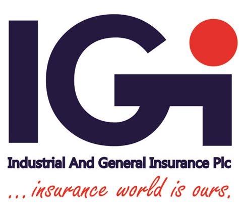 Igi Logos