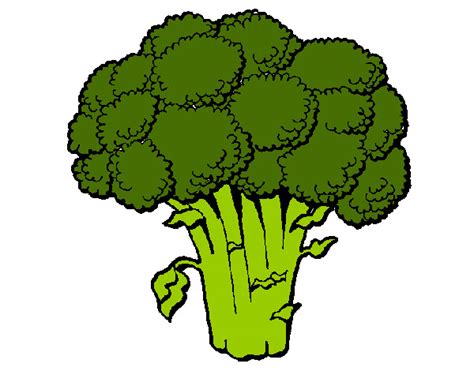 Disegni Di Broccoli Da Colorare Acolore