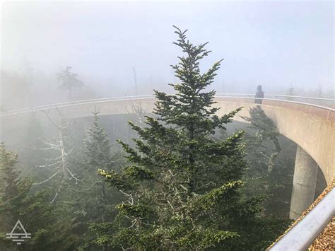 Clingmans Dome Trail - TRIPS TIPS and TEES