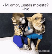 Top Estoy Muy Enojada Con Mi Novio Miportaltecmilenio Mx