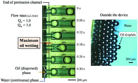 Visualization Of The Oil Droplet Oil In Water O W Formation At The Download Scientific