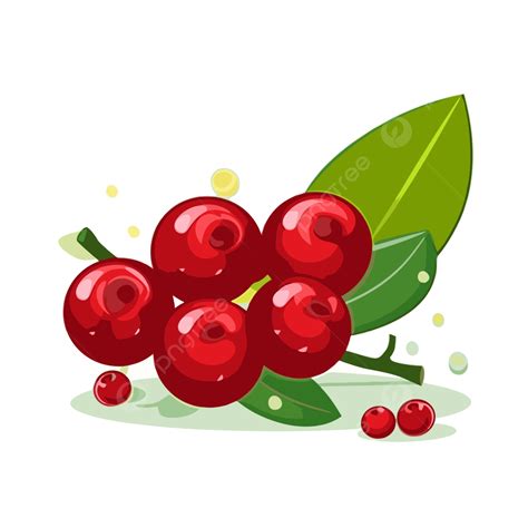 Cranberry Clipart Ilustrasi Vektor Cranberry Dengan Kartun Daun Hijau