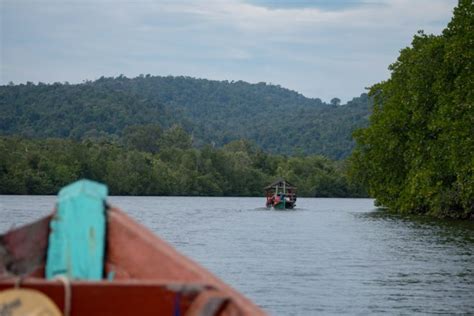 Trekking the Cardamom Mountains in Cambodia