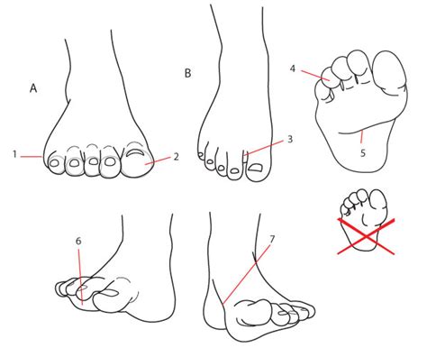 Feet - Drawing Skill