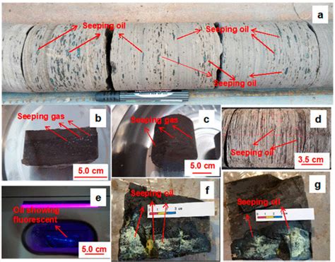 Minerals Free Full Text Gas Desorption Characteristics Of The Chang