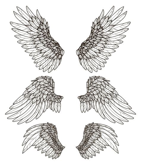 Angel Wings Clip Art