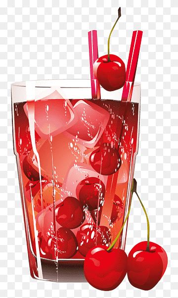 Transparent Cranberry Cliparts Png Images Pngwing