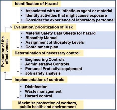 Flow Diagram Illustrating The Summarizing The Biosafety Assessment And