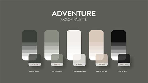 palet warna  koleksi tema warna petualangan inspirasi warna