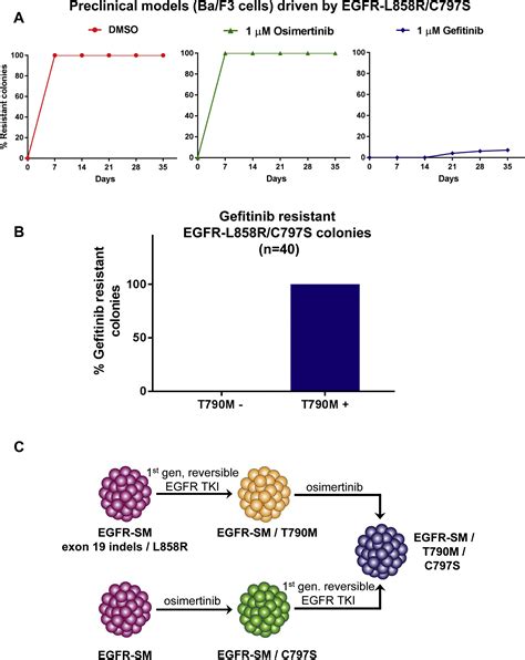 Egfr Mutated Lung Cancers Resistant To Osimertinib Through Egfr C797s