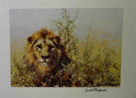 davidshepherd-lion-signed print