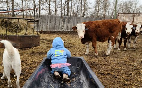 New technology will enhance the services at lamont funeral home 1