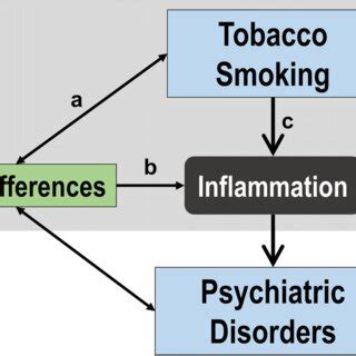 Hypothetical Model For The Interaction Between Sex Tobacco Use And