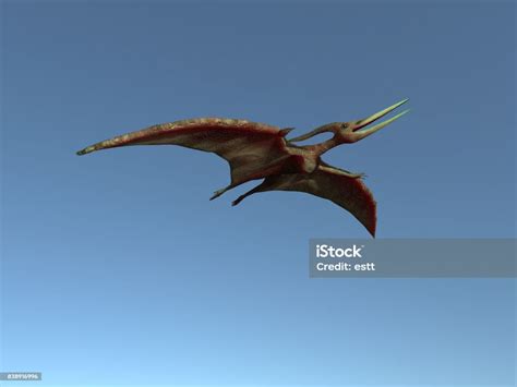 Flying Pteranodon Stock Photo Download Image Now Dinosaur Flying