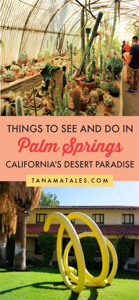 Things To Do In Palm Springs California Tanama Tales California