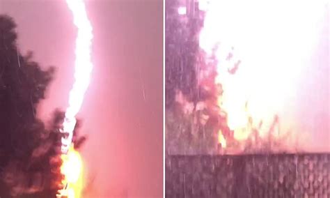 Incredible Moment Lightning Strikes A Tree And Explodes During Wild