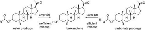 brexanolone 前体药物的设计合成和表征 Bioorganic Medicinal Chemistry Letters X MOL