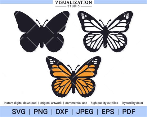 Monarch Butterfly Vector Clipart Set INSTANT DIGITAL DOWNLOAD Svg Png ...