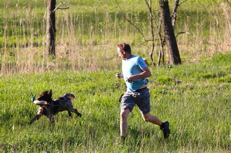 Dog whistle training: How To Train Them With It?