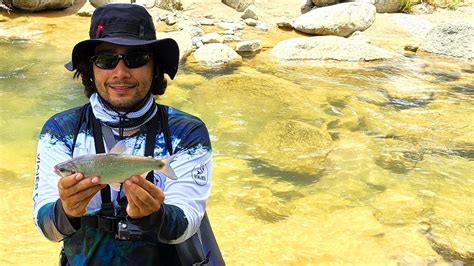 Pesca De Sabaleta Cerca A Medellin Pescando En Barbosa Antioquia