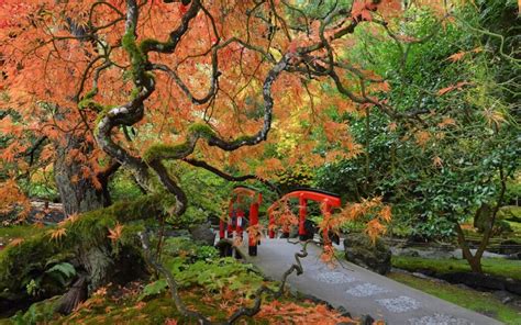 Visit Butchart Gardens From Vancouver With Ease Vancouver Planner