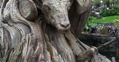 Beautifully Carved Ram S Head Emerging From This Old Tree Trunk Imgur