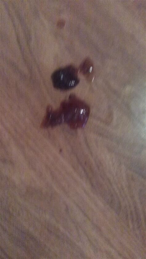 Older 9yr female German Shepherd. Has had stomach issues Always just