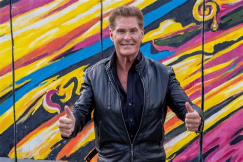 David Hasselhoff To Play Himself In New German Show