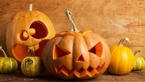 Halloween gli eventi più spaventosi nei dintorni di Bologna Bologna