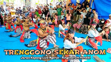 Jaran Kepang Srandulan Trenggono Sekar Anom Tsa Awesome Live