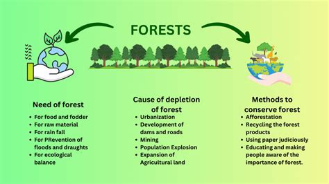 Explorando La Intrincada Red De La Vida En El Ecosistema Forestal