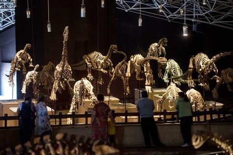 Chinas Jurassic Park Yunnan Bets On Dinosaurs To Power Local