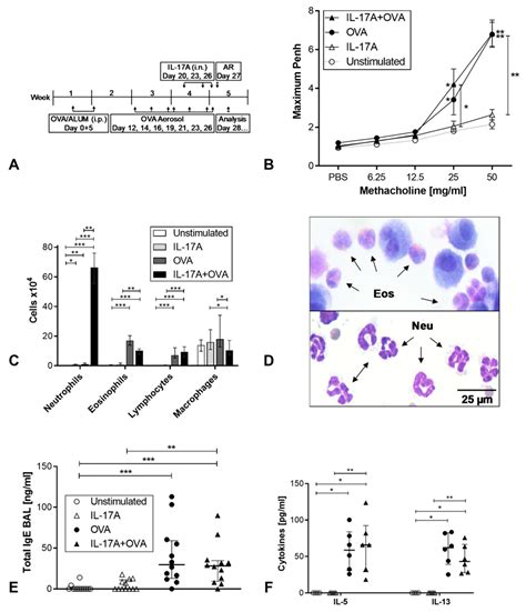 Cells Free Full Text Interaction Of Interleukin 17a With A Th2