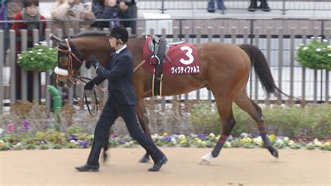 出走馬情報：jra70周年記念 アンタレスステークス 今週の注目レース Jra