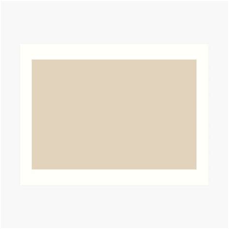 Cornstarch Off White Solid Color Single Accent Shade Hue Coordinates