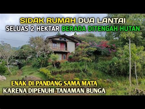 Sidak Rumah Lantai Ditengah Hutan Seluas Hektar Yang Tidak