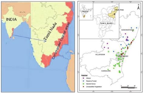 Coromandel Coast In India Map - Gretel Hildagarde