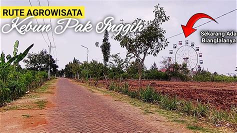 RUTE JALAN MENUJU AGROWISATA KEBUN PAK INGGIH SEKAPUK GRESIK MOTOVLOG