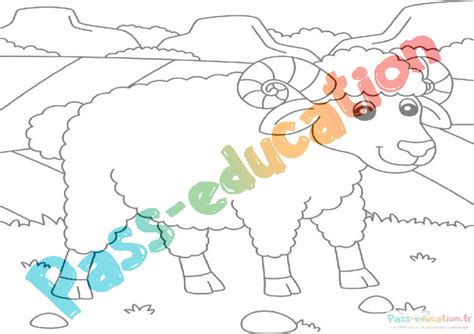 Coloriage Mouton Gratuit Dessins Imprimer Et Colorier Pour Enfants