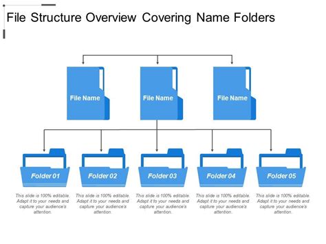 Folder Structure Examples