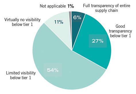 Supply Chain Visibility Can You See Me Now