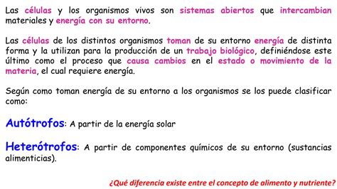 Solution Quimica Biolog A Y Lab Clase Bioenerg Tica Studypool